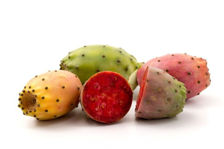 التين الشوكي .. فوائده وأضراره Prickly pear