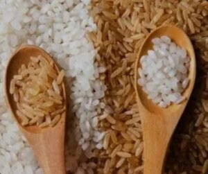 نختار الأرز الأبيض والا البسمتي للطبخ ؟والسبب!!